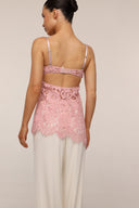 Sophia - lace top - Rose - Limited Edition