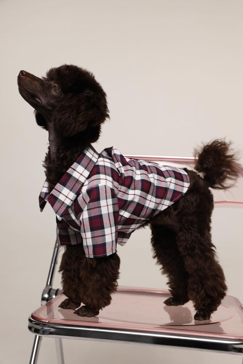 Tartan - pet pjs - Burgundy