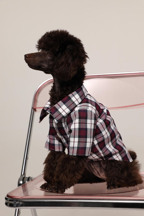 Tartan - pet pjs - Burgundy