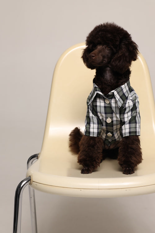 Tartan - pet pjs - Green