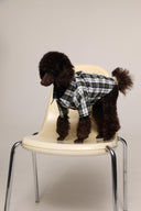 Tartan - pet pjs - Green