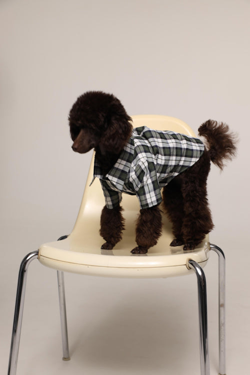 Tartan - pet pjs - Green