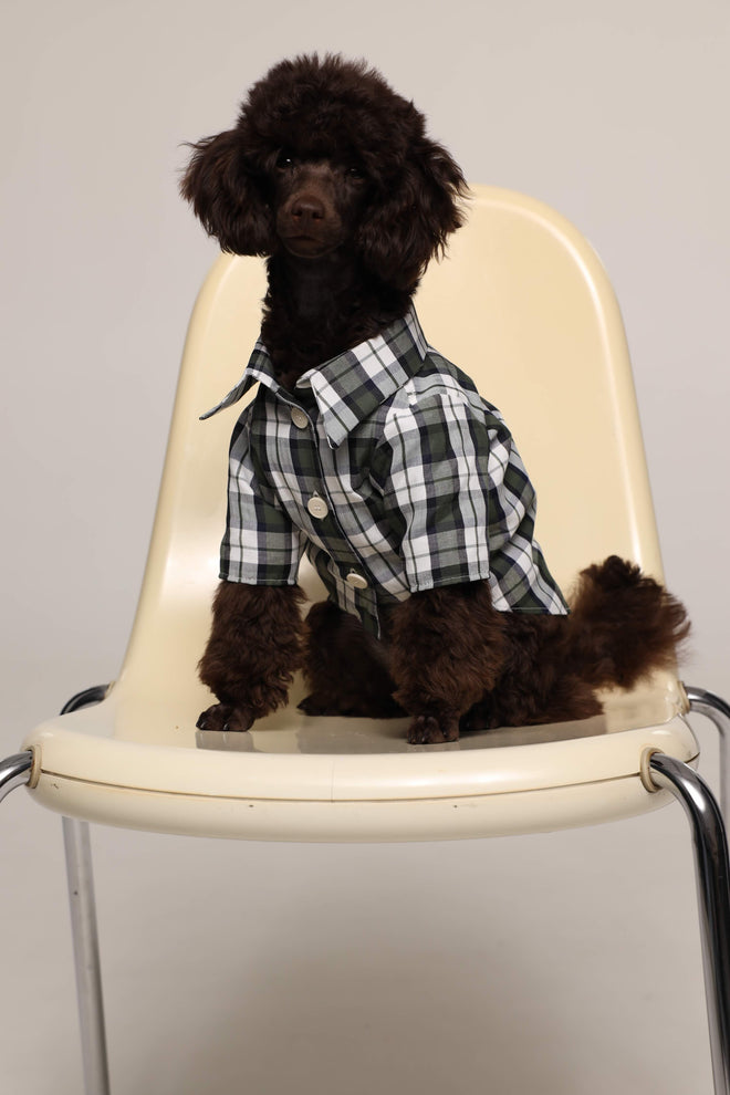 Tartan - pet pjs - Green